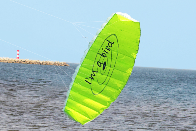 New Outdoor Fun Sports 1.4m Po - Outdoor Power Line review and price