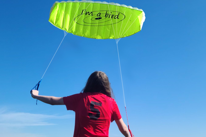 New Outdoor Fun Sports 1.4m Po - Outdoor Power Line review and price